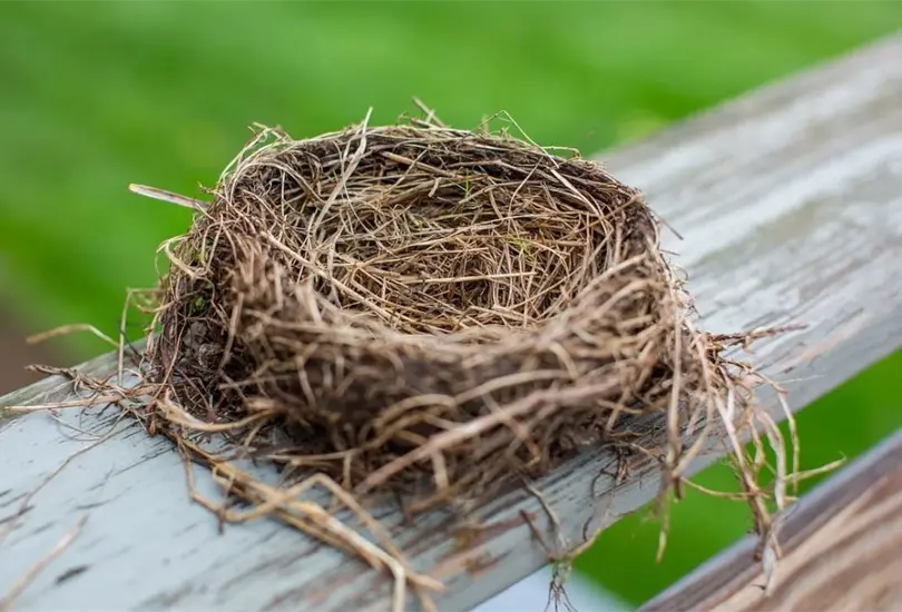 Más que un diagnóstico clínico, es un fenómeno. Más que un diagnóstico clínico, es un fenómeno.