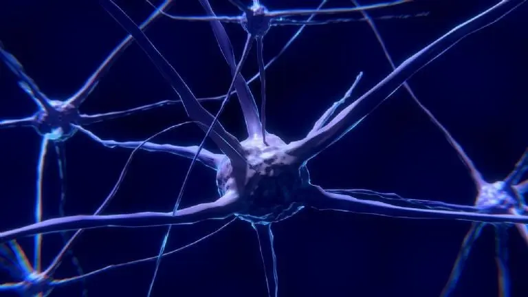 Vino, cerveza u otras bebidas afectan de la misma forma al cerebro. FOTO: Pixabay