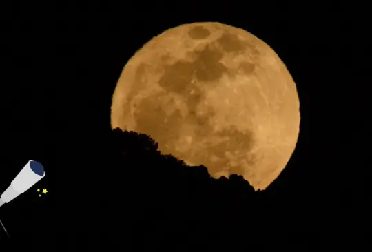 La Luna de gusano también es conocida como Luna de cuervo. La Luna de gusano también es conocida como Luna de cuervo.