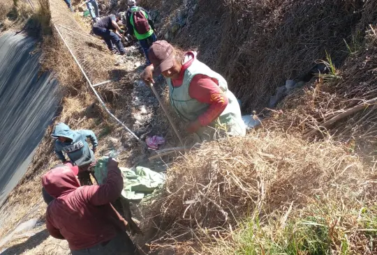 Descubren más de 100 perros muertos en la laguna de líquidos tóxicos de Amecameca - Especial 