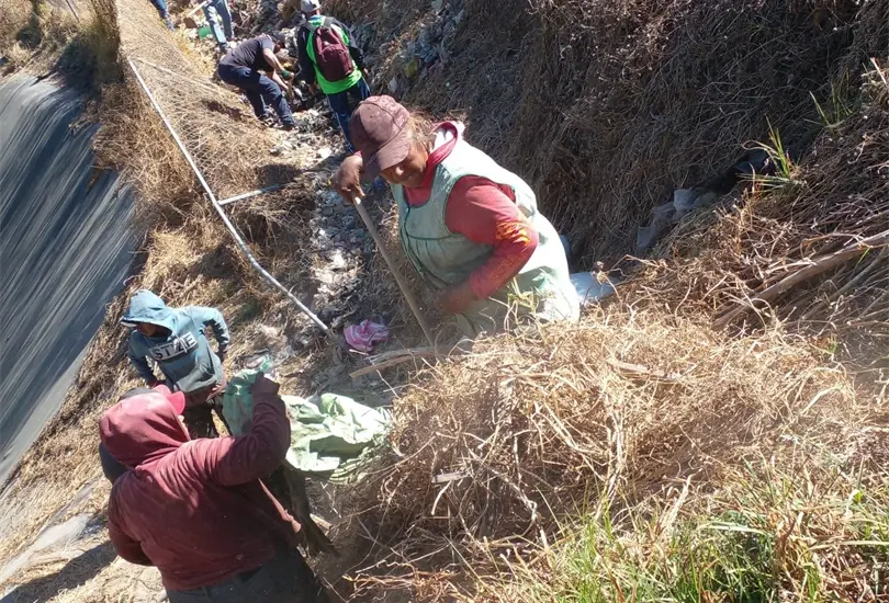 Descubren m&aacute;s de 100 perros muertos en la laguna de l&iacute;quidos t&oacute;xicos de Amecameca - Especial 