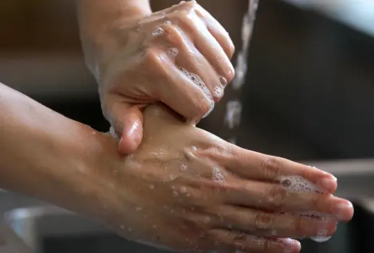 El IMSS realiza campañas para crear conciencia sobre el cuidado de agua. El IMSS realiza campañas para crear conciencia sobre el cuidado de agua.