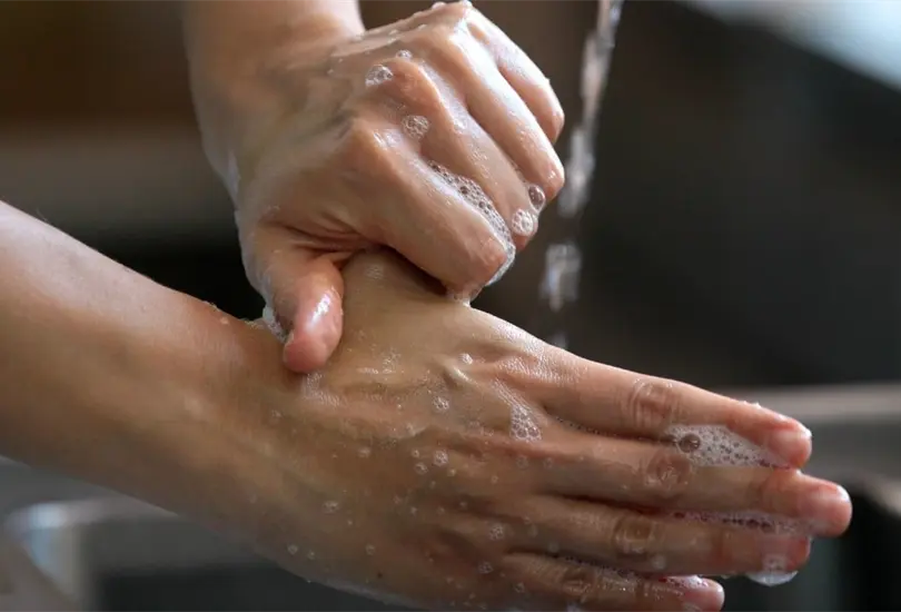 El IMSS realiza campañas para crear conciencia sobre el cuidado de agua. El IMSS realiza campañas para crear conciencia sobre el cuidado de agua.