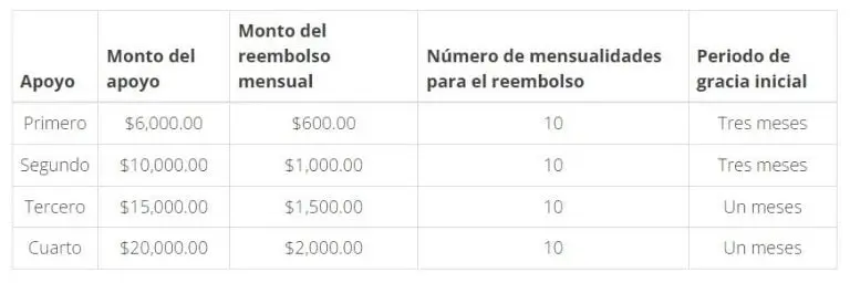Tantas para el Bienestar apoyos. Foto: especial.