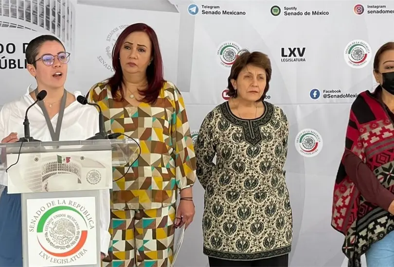 Paola Schietekat quiere comparecer el 3 de abril a distancia y contar con la libertad inmediata.