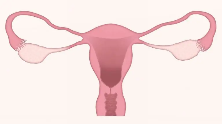 El 26 de marzo se conmemora el Día Mundial de Prevención del Cáncer de Cuello Uterino. FOTO: Pixabay