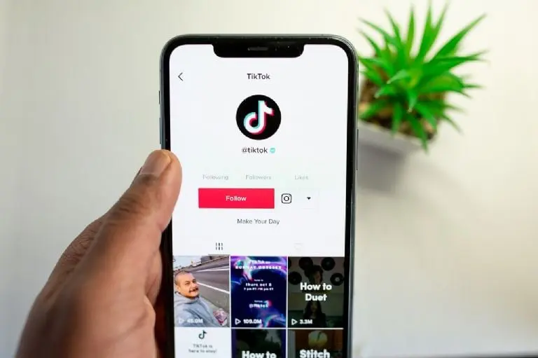 TikTok colaborará con la investigación. FOTO: Pixabay