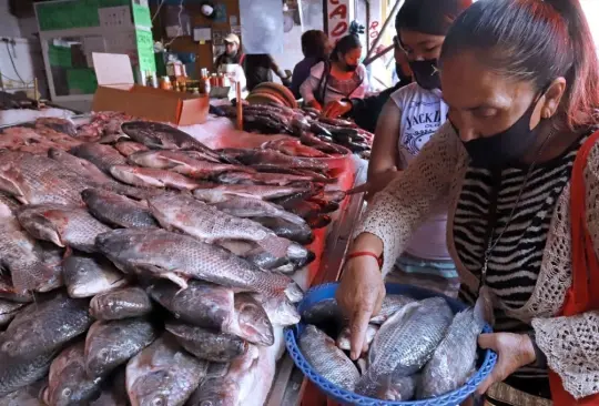 En esta temporada autoridades mexicanas recomiendan consumir productos de mar. 