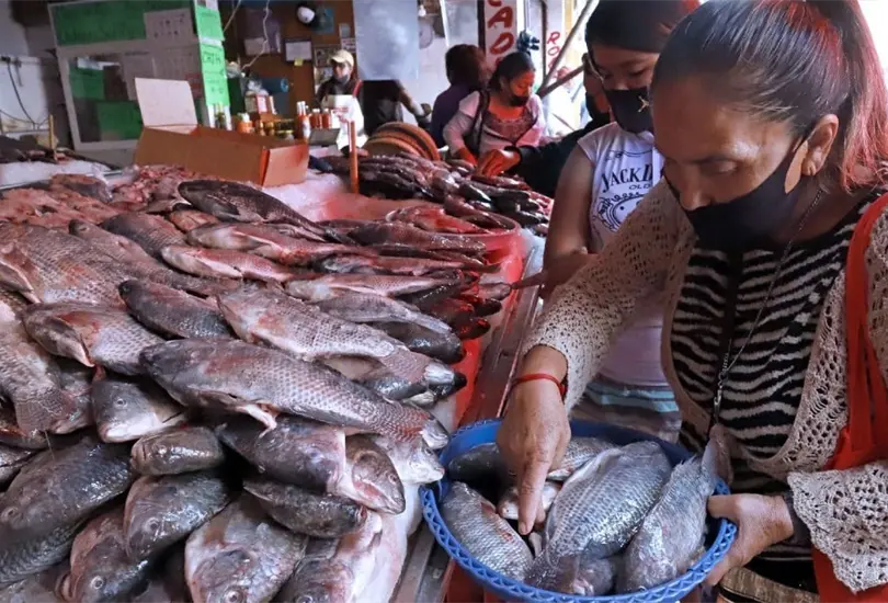 En esta temporada autoridades mexicanas recomiendan consumir productos de mar. En esta temporada autoridades mexicanas recomiendan consumir productos de mar.