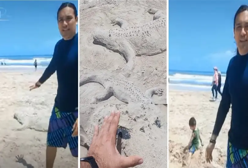 El artista tardó hora y media en hacer un cocodrilo de arena y el niño se tardó minutos en destruirlo. El artista tardó hora y media en hacer un cocodrilo de arena y el niño se tardó minutos en destruirlo.