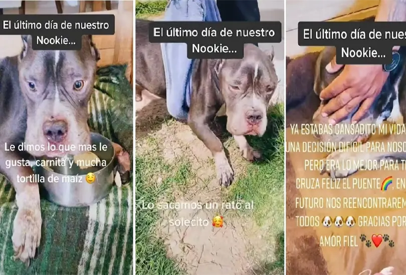 El momento fue narrado cronológicamente. El momento fue narrado cronológicamente.