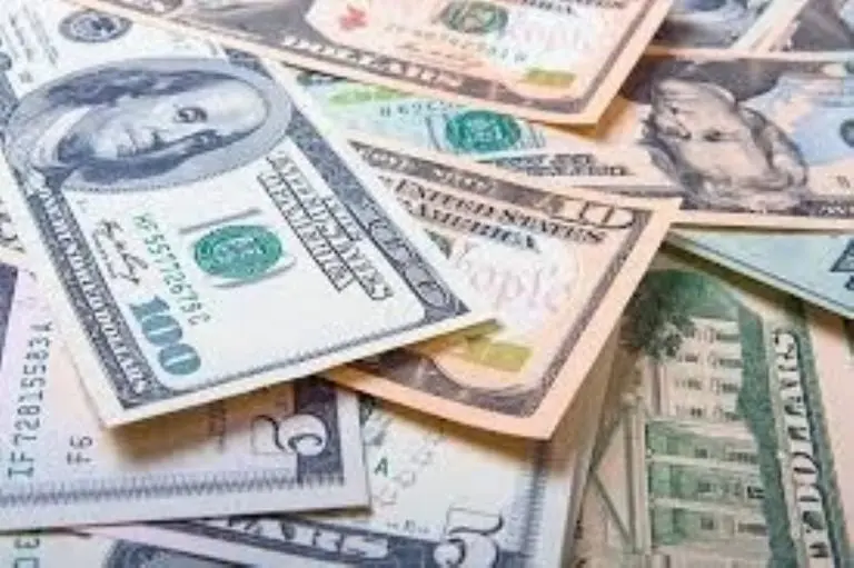 El peso tuvo una ligera pérdida frente al dólar. Foto: especial.