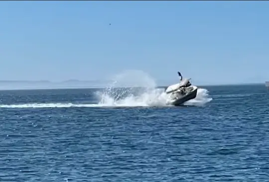 El choque entre la embarcación y la ballena ocurrió el viernes. El choque entre la embarcación y la ballena ocurrió el viernes.