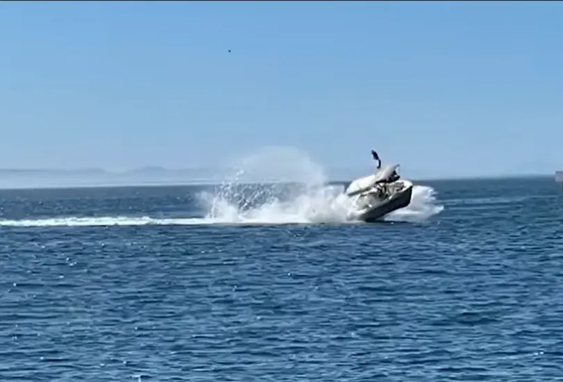 El choque entre la embarcaci&oacute;n y la ballena ocurri&oacute; el viernes.