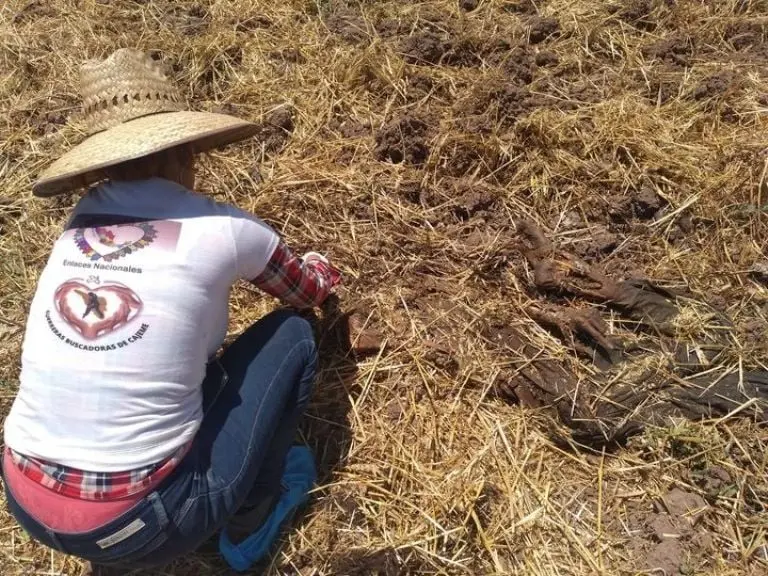 60 familias integran el colectivo Guerreras Buscadoras en Cajeme, Sonora. FOTO: Facebook