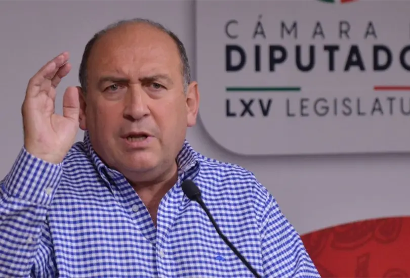 Moreira (PRI) dijo que la iniciativa de AMLO "habr&aacute; que checarla bien.