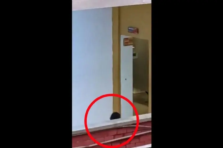 El joven tomó fotografías de las estudiantes - Captura de pantalla