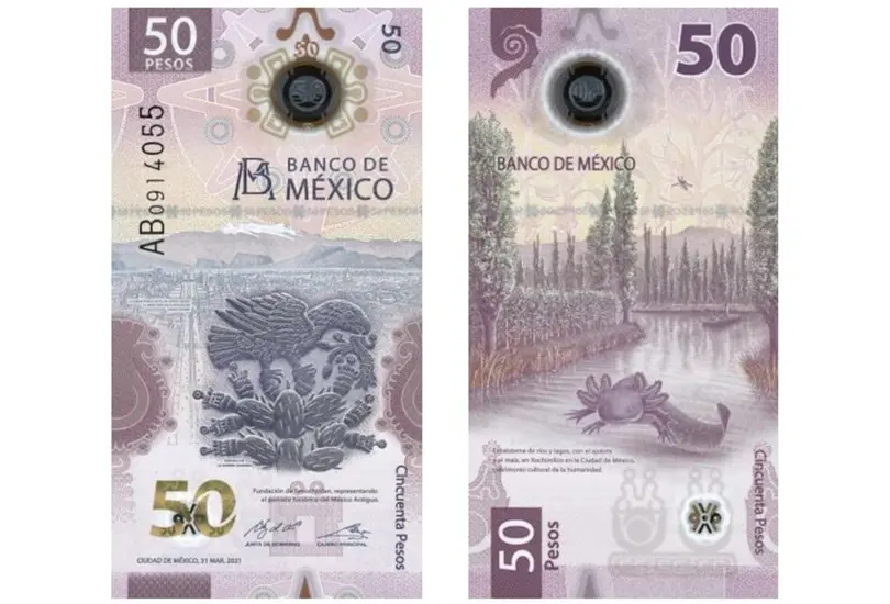 El billete de 50 pesos fue seleccionado de entre 100 billetes.