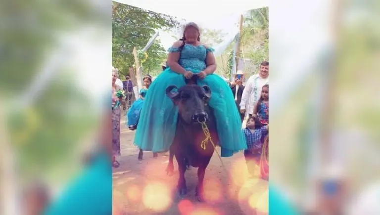 El animal era jalado con una cuerda sujetada a un aro en su nariz. FOTO: Facebook