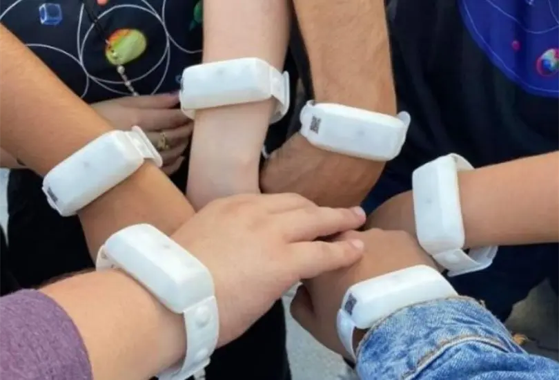 Son un elemento ic&oacute;nico de los conciertos.