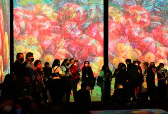 Van Gogh Alive estará en Toluca hasta el 24 de abril Van Gogh Alive estará en Toluca hasta el 24 de abril