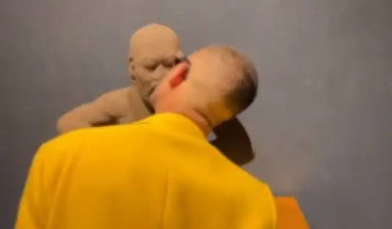 El artista se acercó a besar las piezas prehispánicas como forma de protesta - Especial