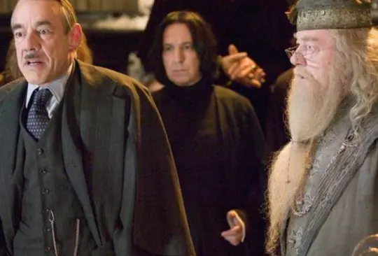Harry Potter es sin lugar a dudas una de las sagas de películas basadas en libros más popular de todo el mundo, con ocho entregas, así como tres spin offs de Animales Fantásticos y la secuela Harry Potter 20 aniversario: Regresa a Hogwarts.