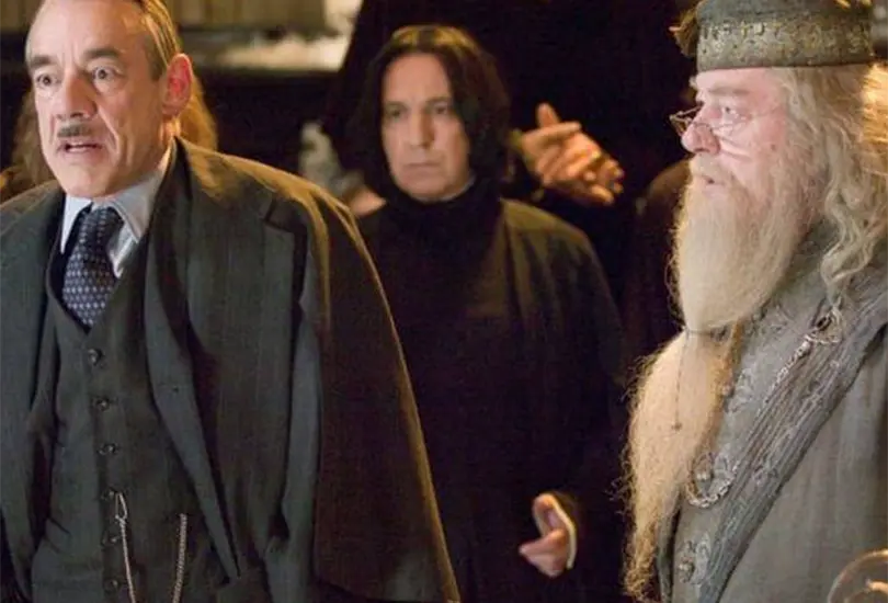 Harry Potter es sin lugar a dudas una de las sagas de pel&iacute;culas basadas en libros m&aacute;s popular de todo el mundo, con ocho entregas, as&iacute; como tres spin offs de Animales Fant&aacute;sticos y la secuela Harry Potter 20 aniversario: Regresa a Hogwarts.