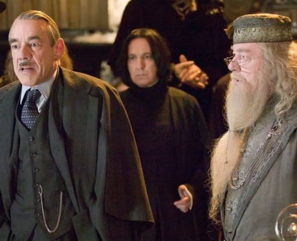 Harry Potter es sin lugar a dudas una de las sagas de películas basadas en libros más popular de todo el mundo, con ocho entregas, así como tres spin offs de Animales Fantásticos y la secuela Harry Potter 20 aniversario: Regresa a Hogwarts.