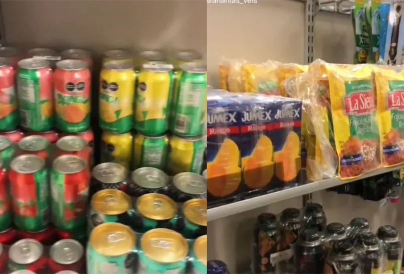 Los usuarios de TikTok aseguraron que esta iniciativa podr&iacute;a sacarlos de un apuro 