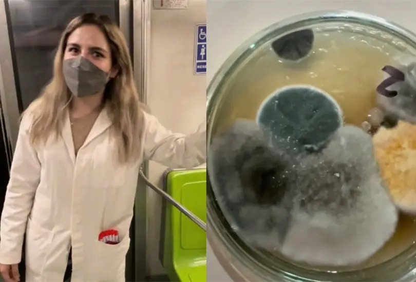La bi&oacute;loga de TikTok tom&oacute; muestras de los tubos del metro, la m&aacute;quina para hacer recargas, los torniquetes y el barandal de las escaleras el&eacute;ctricas