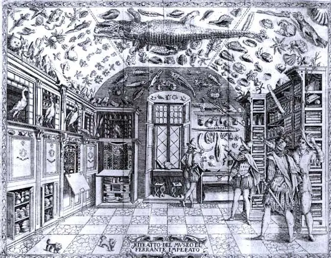 Gabinete de Historia Natural 