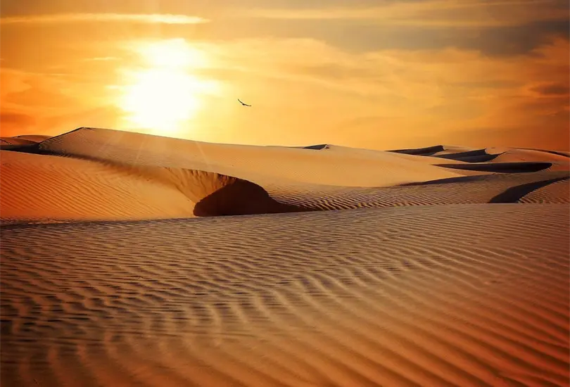 Polvo del Sahara llega a México, ¿qué es y cómo protegerte de sus efectos? Polvo del Sahara llega a México, ¿qué es y cómo protegerte de sus efectos?
