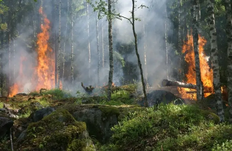Los incendios son un problema mundial cada vez más grave