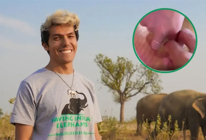 Rafa Polinesio confirm&oacute; su boda en una historia de Instagram