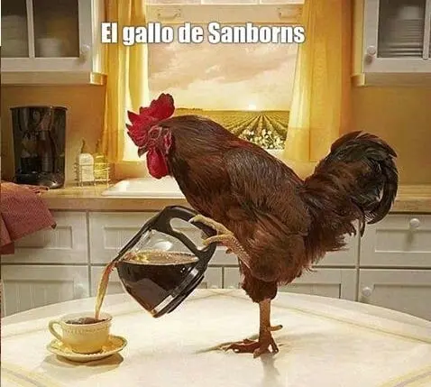 Los mejores memes de las supuestas peleas de gallos en Sanborns, &iquest;de d&oacute;nde surgi&oacute; el rumor?