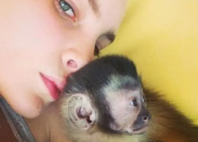  Nodal le regaló un mono capuchino, por el cual gastó 300 mil pesos.