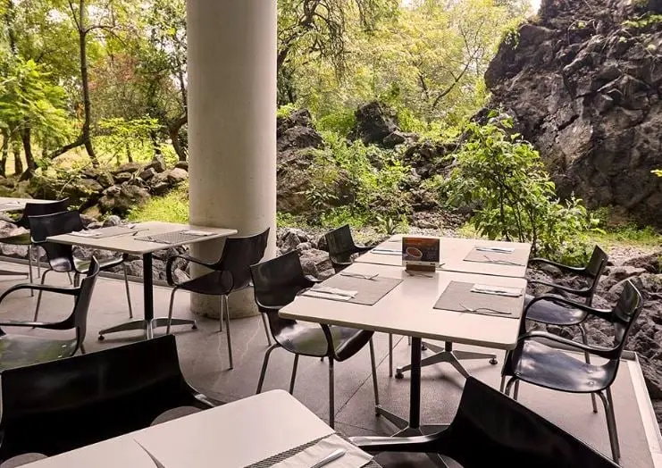 Si vas a desayunar al restaurante del Museo Universitario de Arte Contemporáneo no te pierdas sus famosos "huevos de la abuela", el molcajete de cecina o el omelette con huitlacoche. Dirección: Insurgentes Sur 3000, Centro Cultural Universitario.