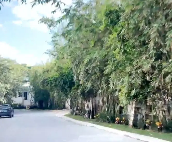  Las propiedades del dirigente nacional del PRI est&aacute;n ubicadas en Lomas de Castillo, una de las zonas m&aacute;s exclusivas de Campeche, estado que gobern&oacute; entre 2015 y 2019. 
