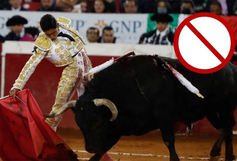 Juez federal ordena suspender los espect&aacute;culos taurinos en la Plaza M&eacute;xico
