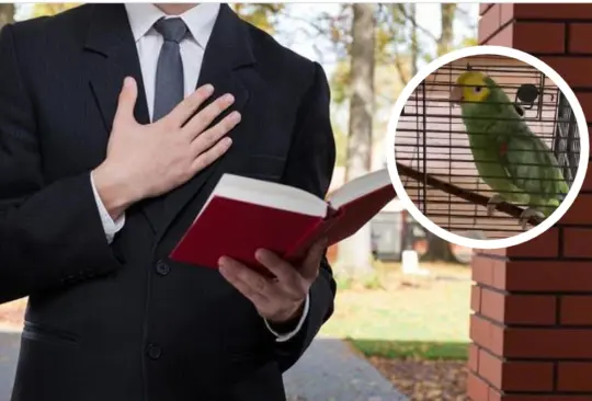 Perico responde a Testigos de Jehová Perico responde a Testigos de Jehová