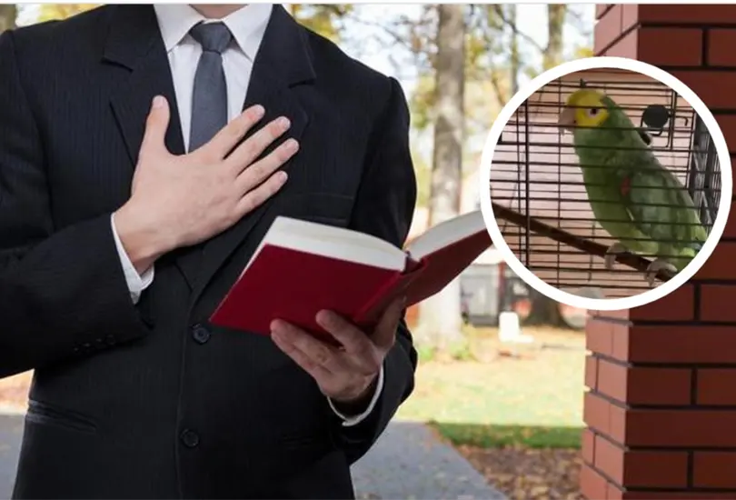 Perico responde a Testigos de Jehová Perico responde a Testigos de Jehová