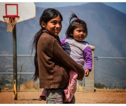 Cuatro d&eacute;cadas de la matr&iacute;cula de educaci&oacute;n b&aacute;sica, con perspectiva de g&eacute;nero