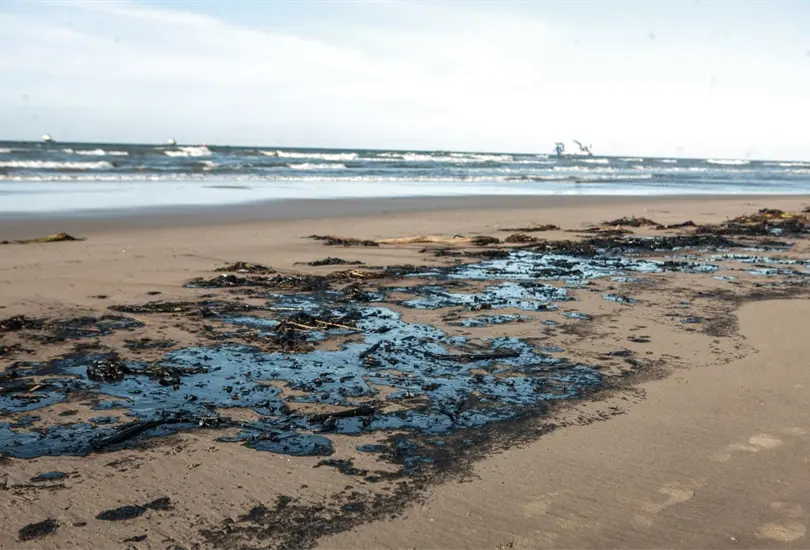  Cient&iacute;ficos de la UNAM lograron descontaminar el agua y recuperar petr&oacute;leo de derrames en plataformas y barcos