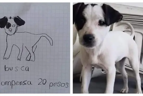 Niñas buscan a su perro con un dibujo