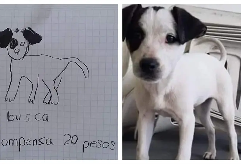 Ni&ntilde;as buscan a su perro con un dibujo