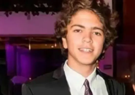 Tiene un hermano mayor llamado Jos&eacute; Manuel Mijares Hogaza.