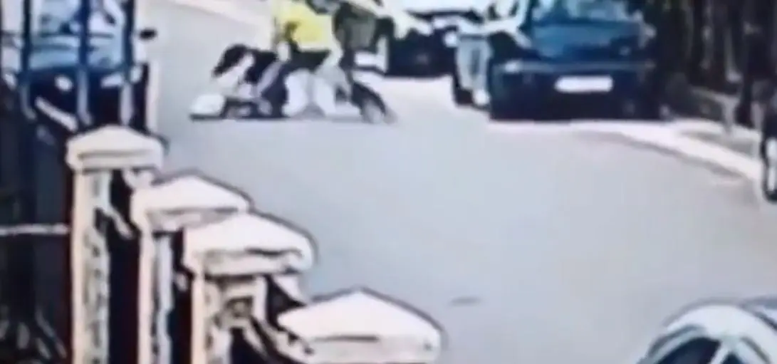 Perrito ataca a ladr&oacute;n que intent&oacute; asaltar a una mujer. 