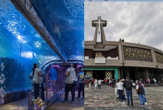 ¿Dónde y cuándo se inaugura el nuevo acuario Tepeyac, el más grande de Latinoamérica?