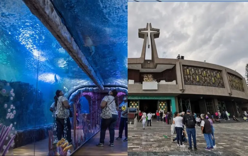&iquest;D&oacute;nde y cu&aacute;ndo se inaugura el nuevo acuario Tepeyac, el m&aacute;s grande de Latinoam&eacute;rica?